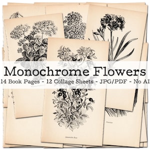 Monochrome Blumen | 1950er Ephemera | Vintage Buchseiten mit botanischen Illustrationen | Junk Journal Kit | digital | Sofort-Download