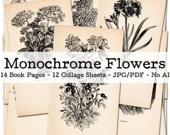 Monochrome Flowers | 1950s Ephemera | Vintage Book Pages with Botanical Illustrations | Junk Journal Kit | digital | instant download