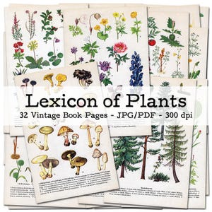 Plantes - Lexique | Pages de livres vintage avec de belles illustrations | Éphémères des années 1950 | Kit de journal indésirable | numérique | téléchargement instantané