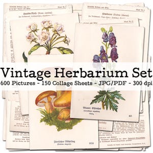 Herbier vintage | 600 pages | Éphémères des années 1930 | Herbes, champignons, fleurs | Cartes à collectionner | Kit de journal intime | numérique | téléchargement instantané