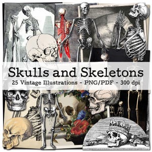 Vintage Skulls and Skeletons | 1700s - 1970s Ephemera | Junk Journal Kit | Grimoire | PNG Clipart | digital Fussy Cut | instant download