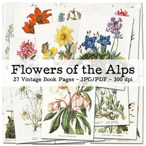 Fleurs alpines | Pages de livres vintage avec de belles illustrations | Éphémères des années 1950 | Kit de journal indésirable | numérique | téléchargement instantané