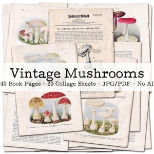 Pilze | 1920er Ephemera | Vintage Buchseiten mit botanischen Illustrationen | Junk Journal Kit | digital | Sofort-Download