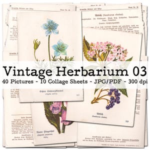 Vintage Herbarium, część 03 | Rośliny, kwiaty, grzyby | karty kolekcjonerskie | Ulotne dokumenty z lat 30. XX wieku | Zestaw do prowadzenia dziennika śmieciowego | cyfrowy | natychmiastowe pobranie