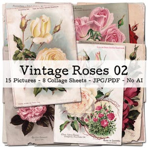 Vintage Rosen, Teil 02 | 1870s - 1910s Ephemera | Antike Botanische Blumen - Illustrationen | Junk Journal Kit | digital | Sofort-Download