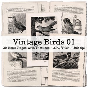 Pages de livres vintage avec de belles illustrations d'oiseaux et du texte, partie 01 | Éphémères des années 1900 | Kit de journal indésirable | numérique | téléchargement instantané