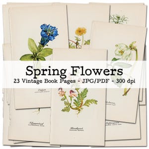 Frühlingsblumen | Vintage Buchseiten mit schönen Illustrationen | Ephemera 1950er | Junk Journal Kit | digital | Sofort-Download