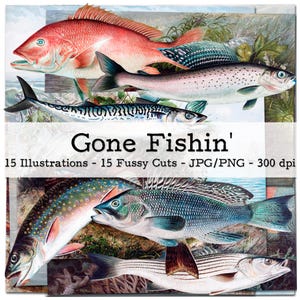 Vintage Fisch - Illustrationen | Ephemera 1870er | Junk Journal Kit | Wanddekoration | PNG Clipart | digitaler Fussy Cut | Sofort-Download