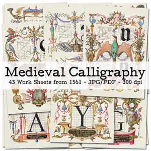 Kalligraphie Übungsblätter | Mira Calligraphiae Monumenta 1561 | Ephemera 1561 | Junk Journal Kit | digital | Sofort-Download