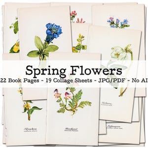 Flores de primavera | Efímeras de los años 50 | Páginas de libros vintage con ilustraciones botánicas | Kit de diario basura | Digital | Descarga instantánea