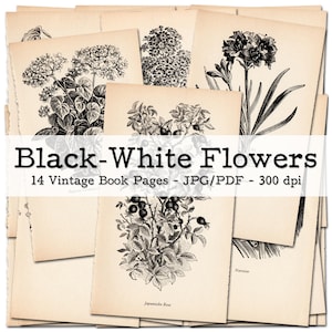 zwart-witte bloemen | Vintage boekpagina's met prachtige illustraties | Ephemera jaren 50 | Junk Journal-kit | digitaal | direct downloaden