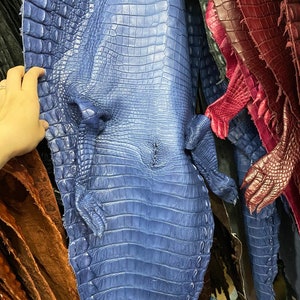 Grau echte Alligator Krokodil Bauch Leder Skin Gürtel breit | Etsy