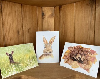 Pack of 9 Notecards: Bunny, Snuffling in the Leaves and Hide and Seek