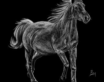 Horse Print "Spirit"
