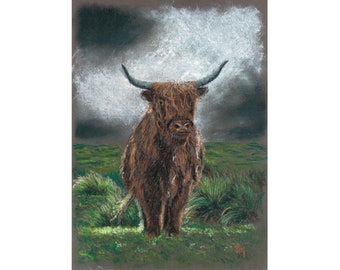 Highland Cow Print "Standing Firm"