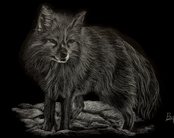 Arctic Fox  Print