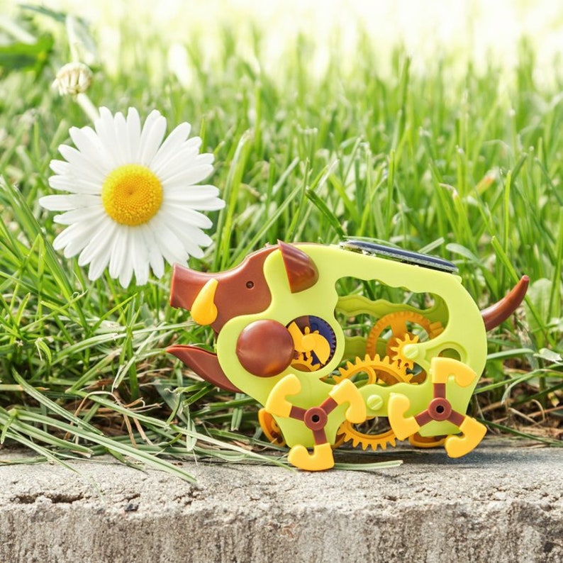 Solar Wild Boar Building Model Kit Ideal For a Do it yourself Science Fair Spring Workshop Project