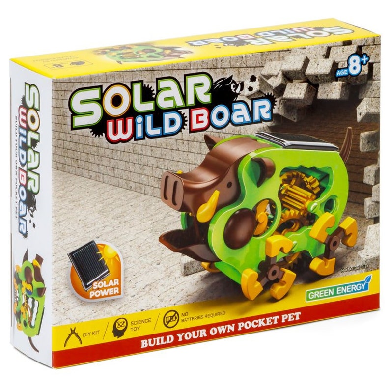 Solar Wild Boar Building Model Kit Ideal For a Do it yourself Science Fair Spring Workshop Project