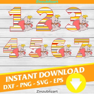 Bundle, Birthday boy svg, Birthday Svg, Cricut File, Clipart, Svg, Png, Eps, Dxf