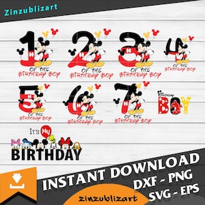 Birthday Boy Svg, Bundle, Birthday Boy Svg, Birthday Svg, Cricut file, clipart, Svg, Png, Eps, Dxf