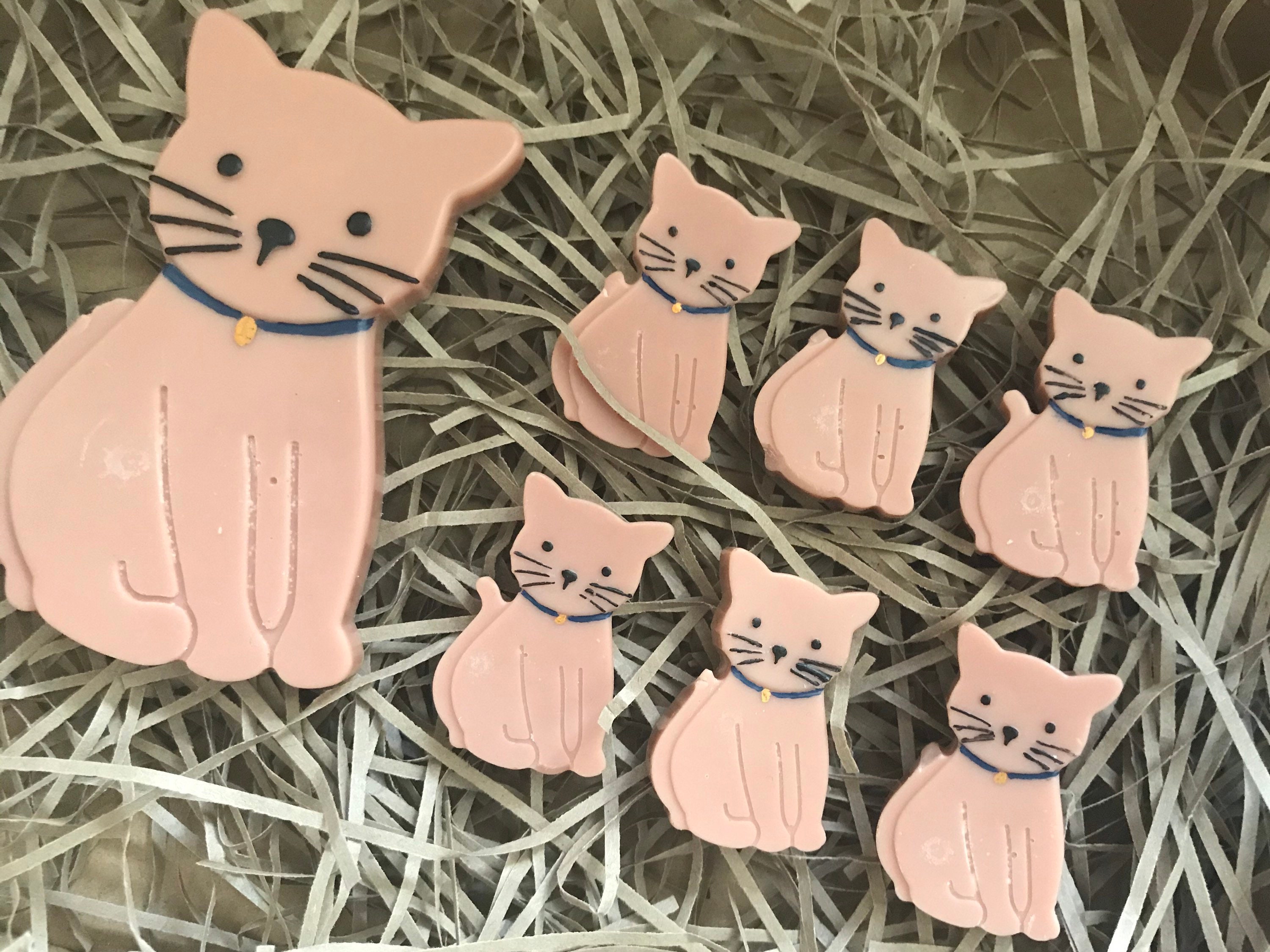 Cat Wax Melts Etsy UK