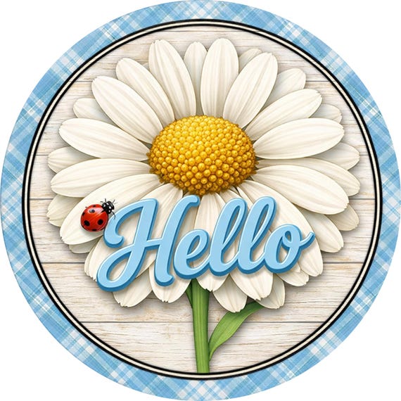 Daisy Hello Wreath Sign: Blue Gingham Door Hanger, Farmhouse Spring Decor