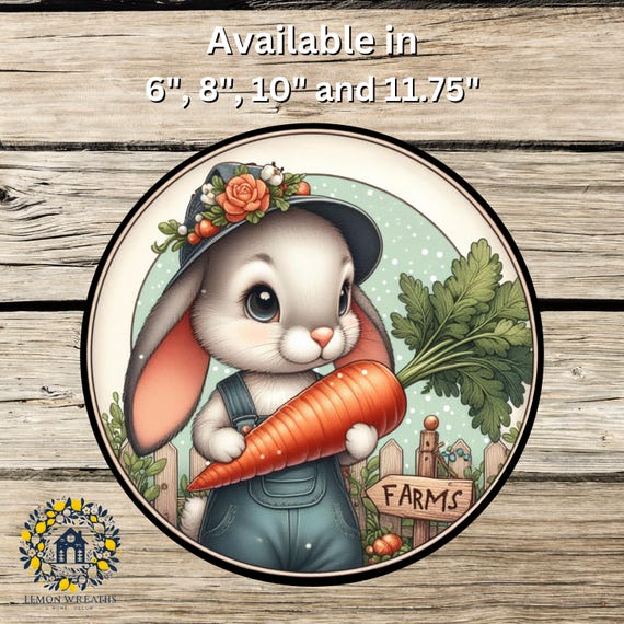 Farm Bunny Wreath Sign: Carrot Rabbit Door Hanger, Country Garden Decor