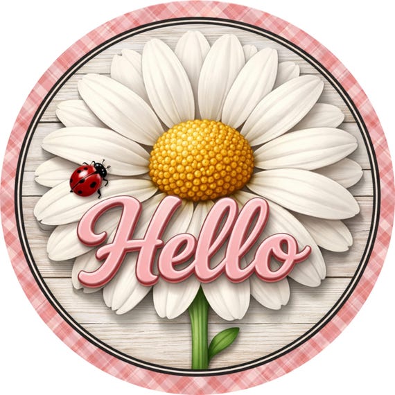 Daisy Hello Wreath Sign: Pink Gingham Door Hanger, Farmhouse Spring Decor