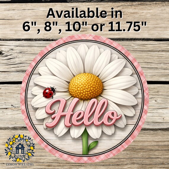 Daisy Hello Wreath Sign: Pink Gingham Door Hanger, Farmhouse Spring Decor