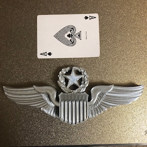 May include: A silver-colored military pilot's wings with a shield and a star in the center. The wings are on a gold background.