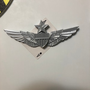 May include: A silver pilot wings badge with a star and shield design. The shield has a design of vertical stripes.