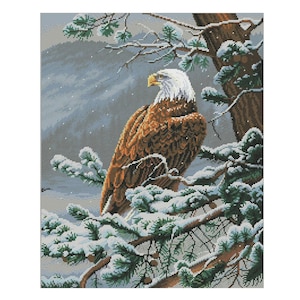 Op de afbeelding: Een Amerikaanse zeearend met bruine en witte veren zit op een met sneeuw bedekte tak in een winterse bosomgeving.