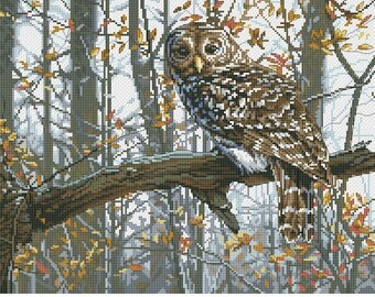 May include: A brown and gray owl perched on a branch in a forest setting. The owl has yellow eyes and is surrounded by fall foliage.
