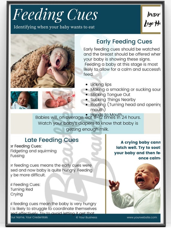 Feeding Cues Breastfeeding Brandables™ Template Customizable Canva for  Lactation Consultant Breastfeeding Supporter Hunger Cues