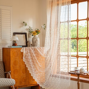 May include: A sheer, off-white curtain panel featuring an intricate, repeating floral vine embroidery pattern and a scalloped lace edge. The lightweight fabric hangs from a rod, partially covering a window with a grid frame and allowing light through.