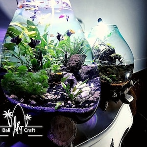 Extra Super Large Molten Glass Wood for Aquarium 20 Inch -  Recycle Glass for Terrarium Vases Pots Aquascape