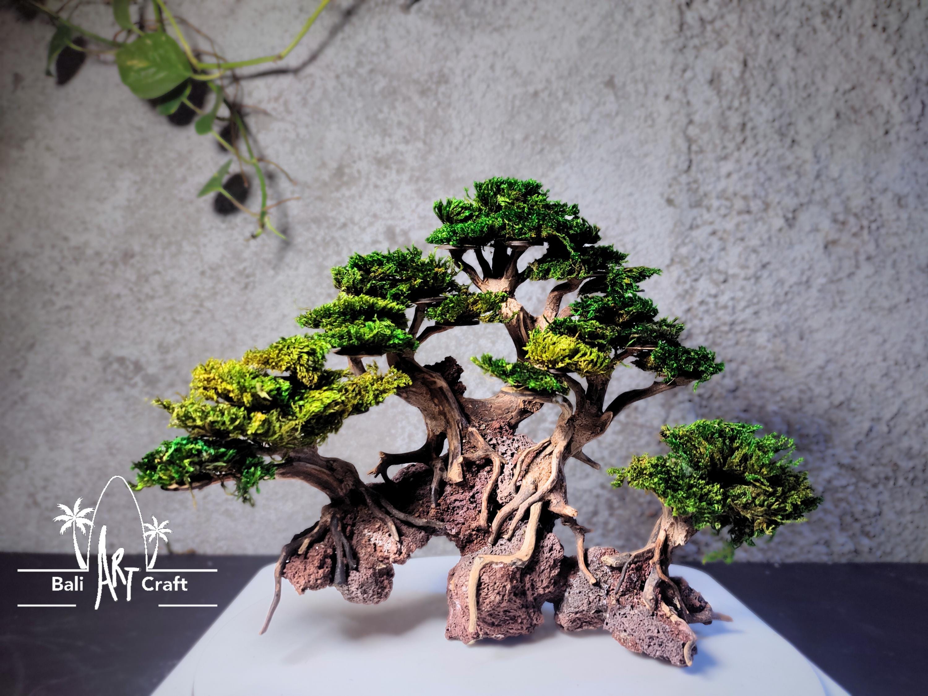Handcrafted Root Bonsai Tree: Zen Art Decor With Preserved Moss - Etsy