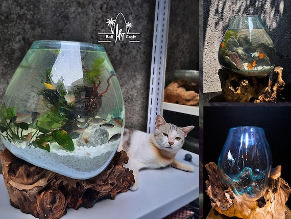 3ガロン吹きガラス水槽：素朴な流木ベース、ベタ用水槽 - Etsy 日本