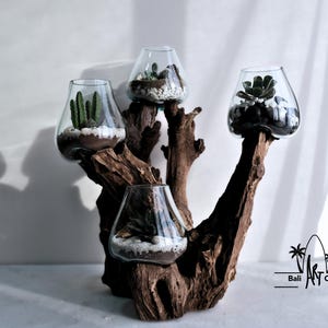 Molten Glasses drift wood wood 4 glass in 1 wood Heigh 20 inch for Vases Pots candle holder Aquascape Terrarium - Unique Home Décor