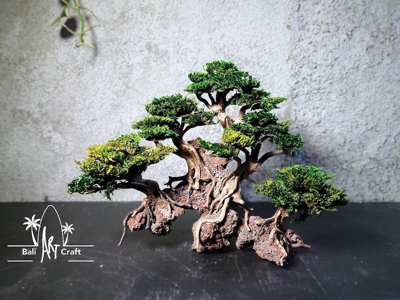 Puede incluir: Un &aacute;rbol bons&aacute;i en miniatura con follaje verde vibrante y un tronco marr&oacute;n texturizado. El &aacute;rbol est&aacute; sobre una superficie oscura contra un fondo gris. Las ra&iacute;ces est&aacute;n expuestas, lo que se suma a la est&eacute;tica natural.