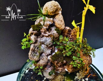 木製台座付き溶融ガラス花瓶：滝テラリウム、アクアスケープ装飾