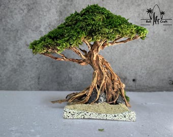 天然枝盆栽流木 流木盆栽：天然の根の彫刻と保存処理された苔 - Etsy 日本