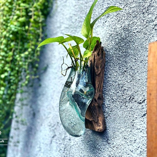 Mini Molten Glass Air Plant Vase on Wood - 8 Inch Hanging Planter - Etsy