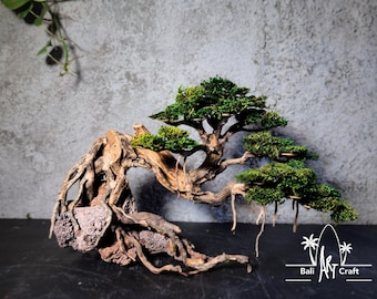 Handgefertigter Treibholz Bonsai Baum mit konserviertem Moos (Outdoor) -  Etsy.de