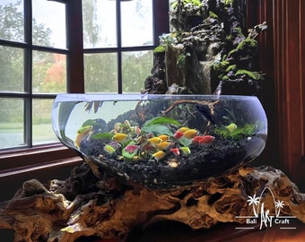 Große geschmolzene Glasschale auf Holz: Einzigartige Terrarium Vase (63 cm)