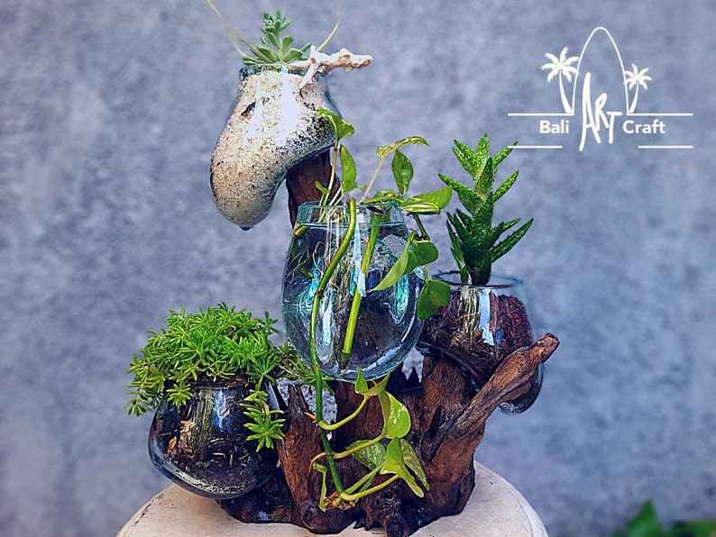 Molten Glasses 4 IN ONE Mini / Vases / Pots / Aquascape / Etsy