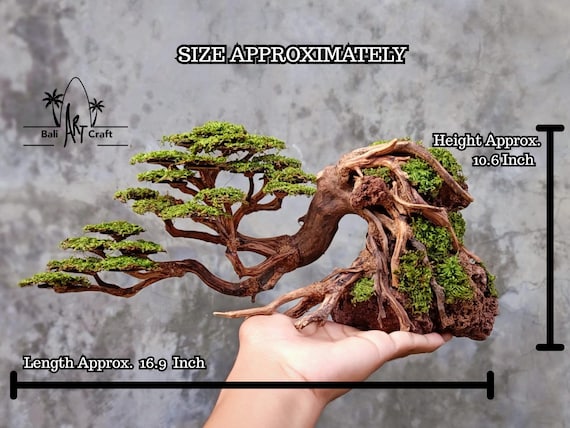 Handcrafted Driftwood Bonsai Tree With Preserved Moss (outdoor) - Etsy