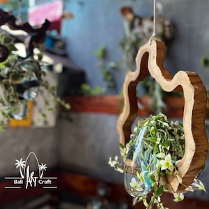 Hanging molten glass on wood with rope for Plant Hanger on Driftwood Wall Hanging Terrarium Ornament   for gift Europe Country