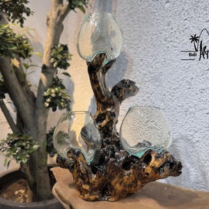 May include: A decorative piece featuring three clear glass bowls molded to fit onto a dark, gnarled piece of natural driftwood. The glass has a textured, bubbled appearance. The text Bali Art Craft is visible in the upper right corner.