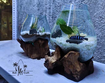 吹きガラス製水槽：1ガロン（約3.8リットル）流木入り水槽 - Etsy 日本
